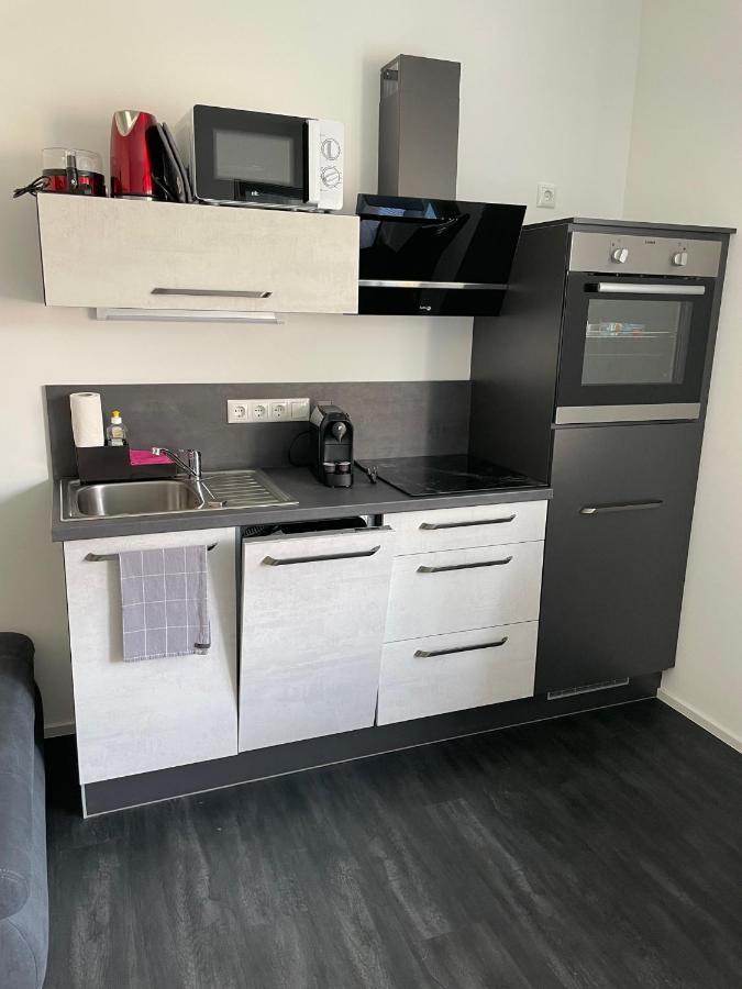 Apartments Saaldorf-Ferienhaus Mit 6 Apartments 45Qm-120Qm Direkt Am Thueringer Meer-Bleilochtalsperre Бад-Лобенштайн Экстерьер фото