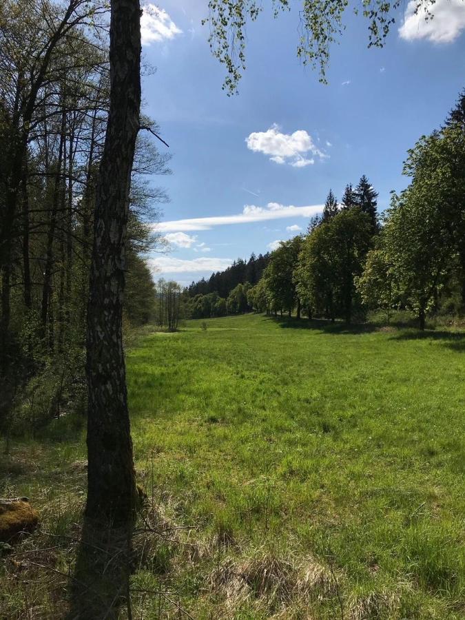 Apartments Saaldorf-Ferienhaus Mit 6 Apartments 45Qm-120Qm Direkt Am Thueringer Meer-Bleilochtalsperre Бад-Лобенштайн Экстерьер фото